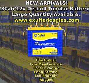DE BULL TUBULAR BATTERY